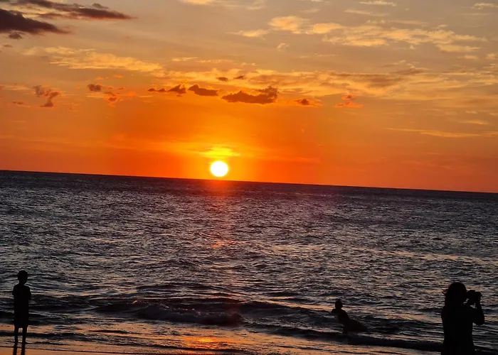 Oceanic Vista Coco